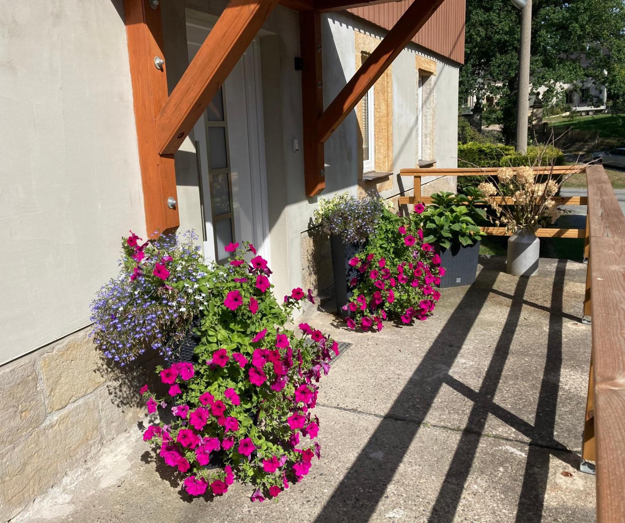 Ferienwohnung "Am Kirchsteig" Kurort Gohrisch Exterior foto